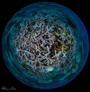Big round World.  1/13th second shutter spin. F-22 at 8mm... by Steven Miller 